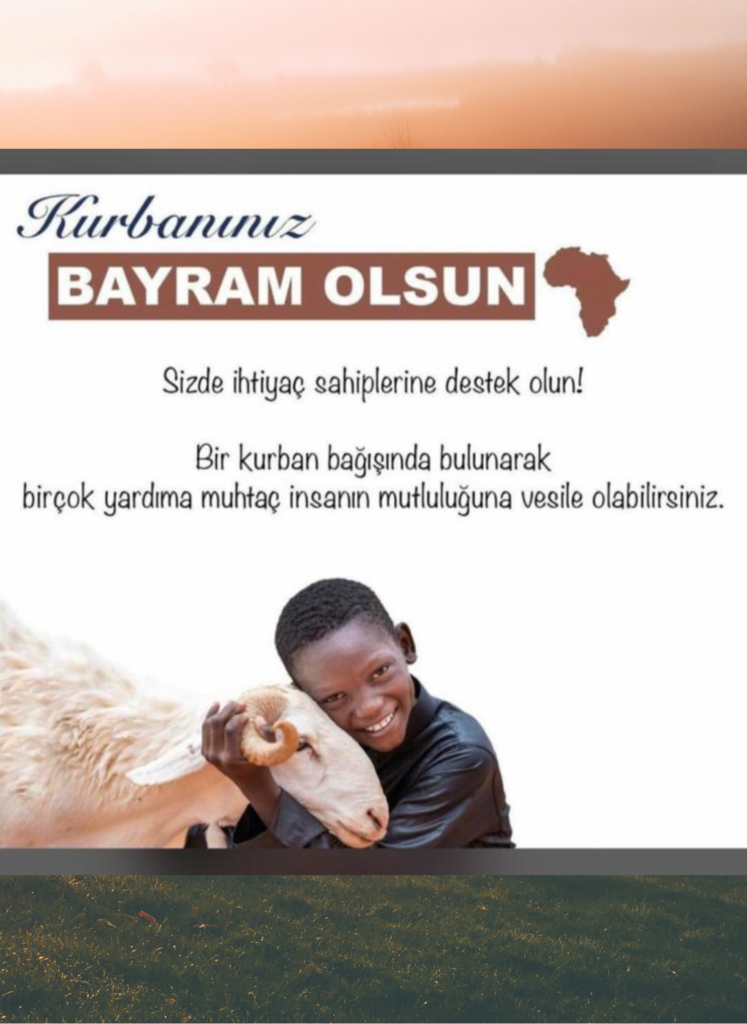 Bayram_olsun